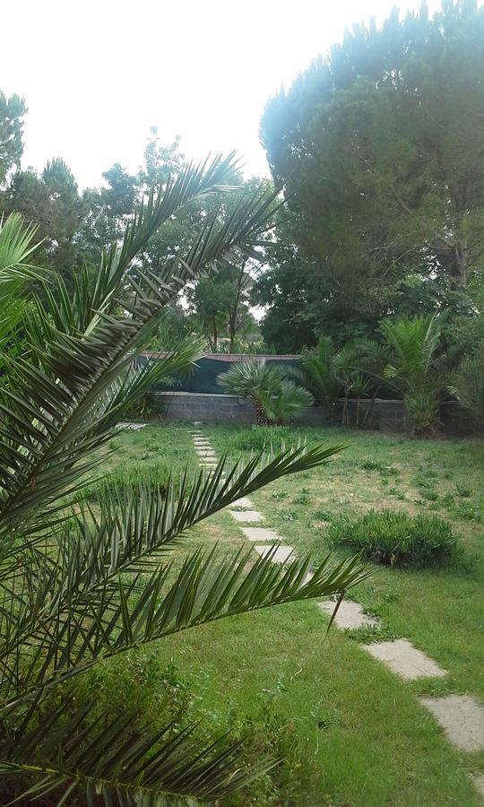 A57 Bed and Breakfast Casal Palocco Buitenkant foto
